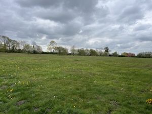 Grounds- click for photo gallery